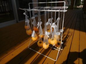 2%e5%b9%b2%e3%81%97%e6%9f%bf